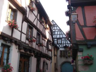 DSC00114.JPG