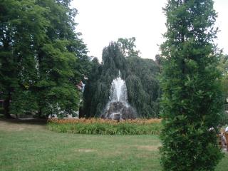 DSC00197.JPG