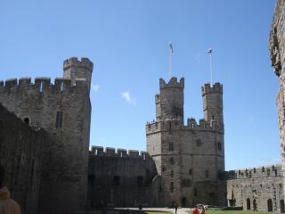 DSC08028.JPG