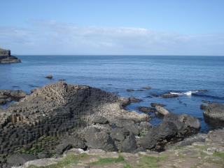 DSC08388.JPG