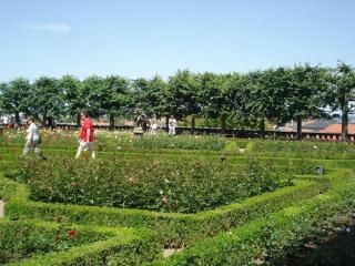 DSC09213.JPG