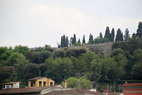 Изображение 1192.jpg