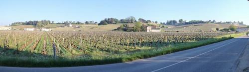 IMG_9746 Panorama.jpg