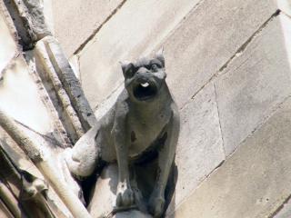 DSCF1532.JPG