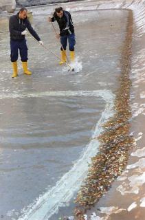 1321368497_coins_05.jpg