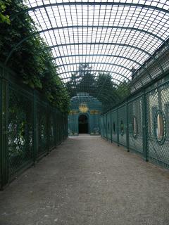 DSCF3900.JPG