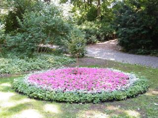 DSCF3690.JPG