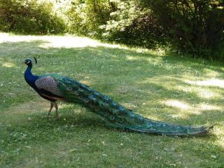 DSCF3714.JPG