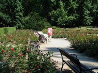 DSCF3675.JPG