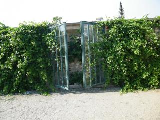 DSCF3954.JPG