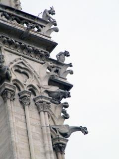 DSCF0862.JPG