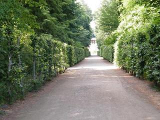 DSCF3936.JPG