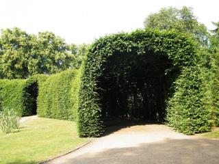 DSCF3917.JPG
