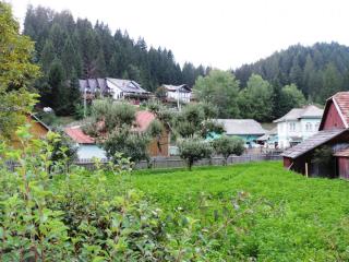 DSCN0035.JPG