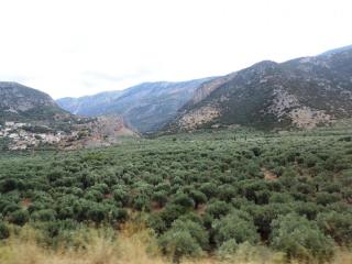 DSCN0040 (2).JPG