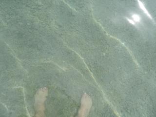 DSCN0461.JPG