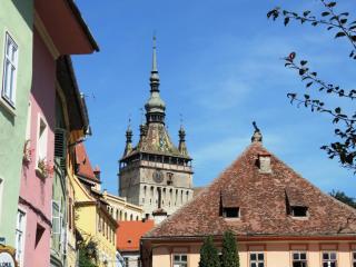 DSCN0041.JPG
