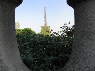 IMG_4036.JPG