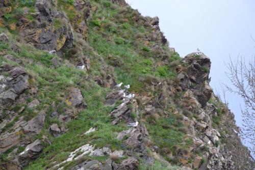 DSC_0685.JPG