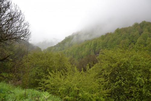 DSC_0961.JPG