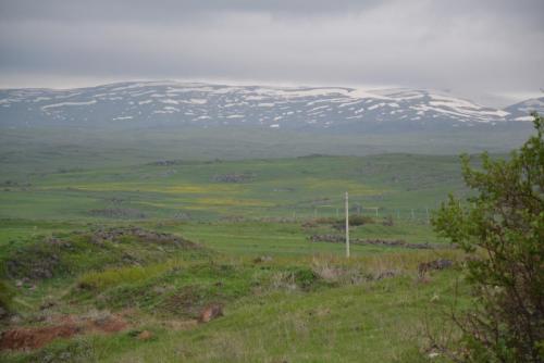 DSC_0159.JPG
