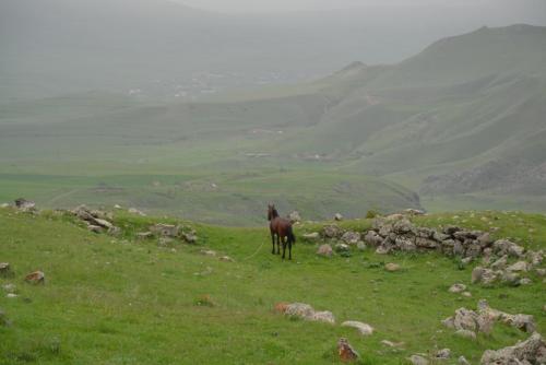 DSC_0363.JPG