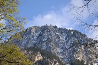DSC_0867.JPG