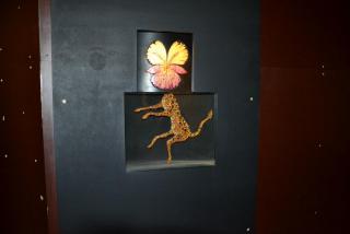 DSC_0727.JPG