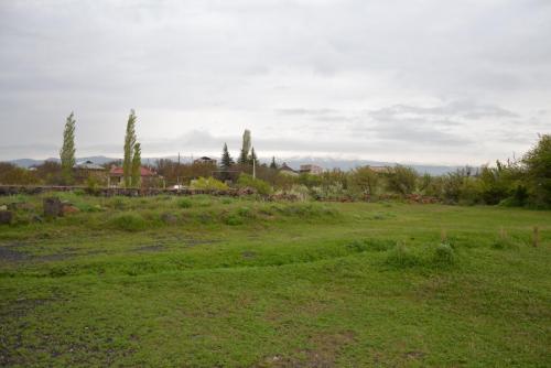 DSC_0110.JPG