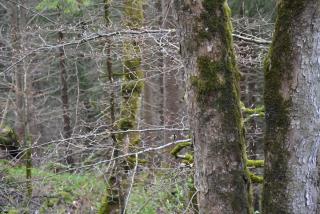 DSC_0801.JPG