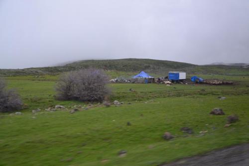 DSC_0161.JPG