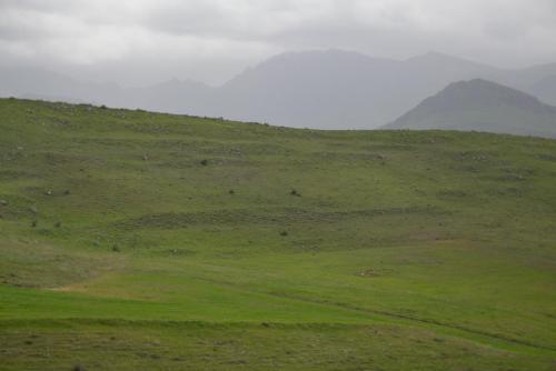 DSC_0262.JPG