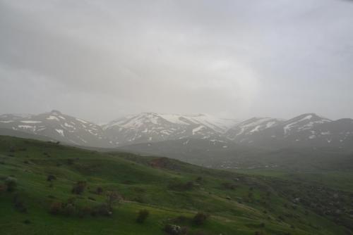 DSC_0447.JPG