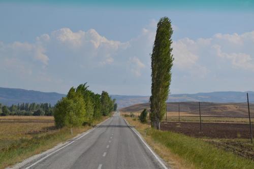 DSC_0169.JPG