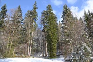DSC_0587.JPG