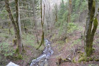 DSC_0799.JPG