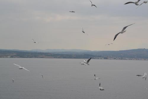 DSC_0871.JPG