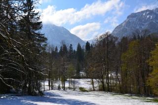 DSC_0649.JPG