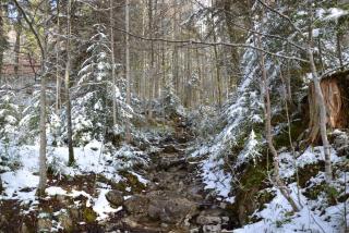 DSC_0591.JPG