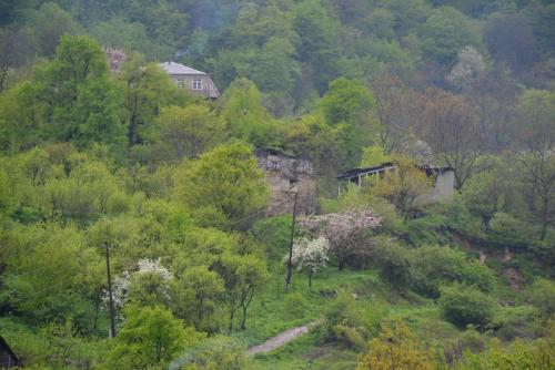 DSC_0968.JPG