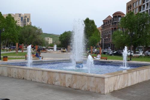 DSC_0503.JPG