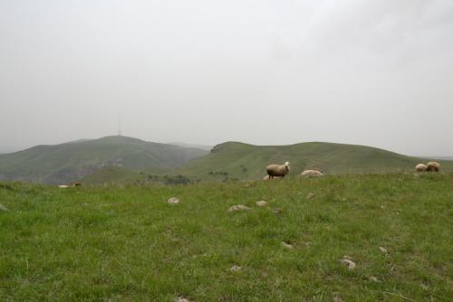 DSC_0346.JPG