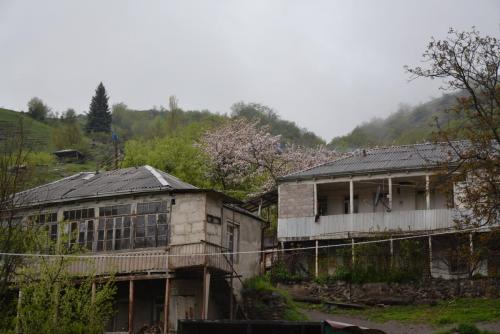 DSC_0965.JPG