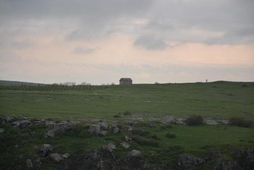 DSC_0103.JPG