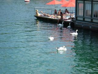 DSC04221.JPG