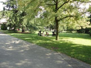 DSC04245 (2).JPG