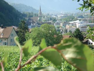 DSC04100.JPG