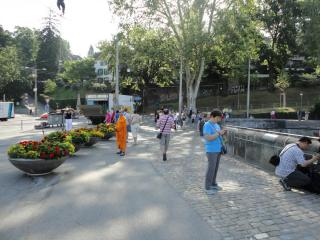 DSC04049 (2).JPG