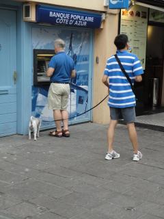 DSC04514.JPG