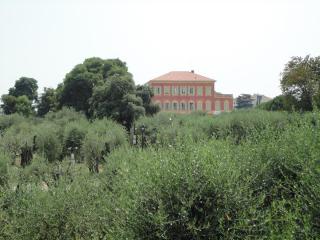 DSC04337.JPG